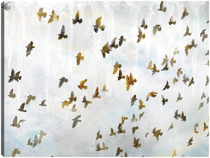 En vuelo  - Studio Arts