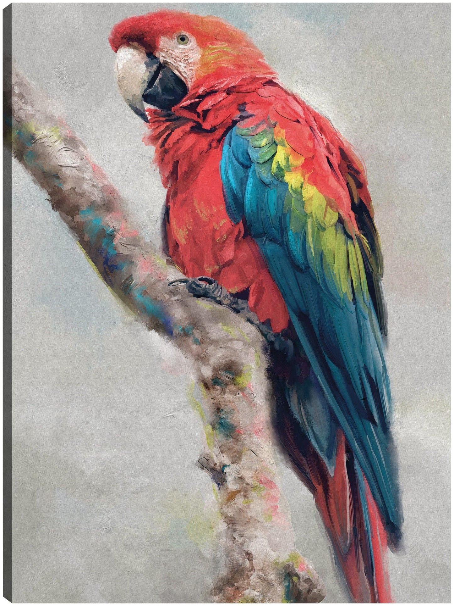 Aviario de la isla II - Studio Arts