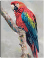 Aviario de la isla II - Studio Arts