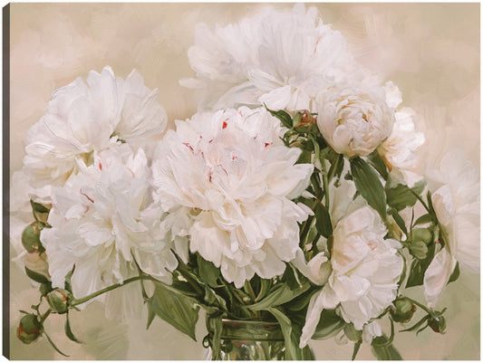 Peonias Blancas - Studio Arts