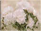 Peonias Blancas - Studio Arts