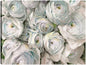 Ranúnculo blanco - Studio Arts