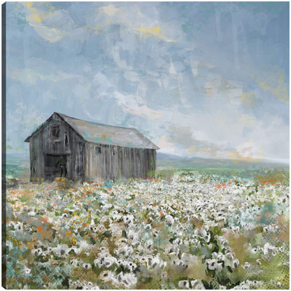 Granero con amapolas blancas - Studio Arts