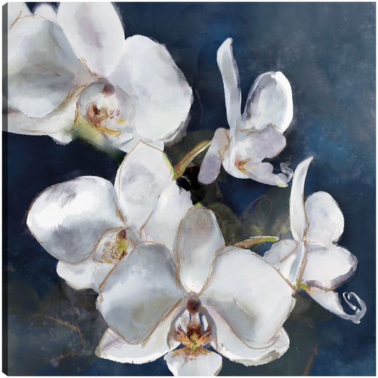 Orquídea en la Marina - Studio Arts