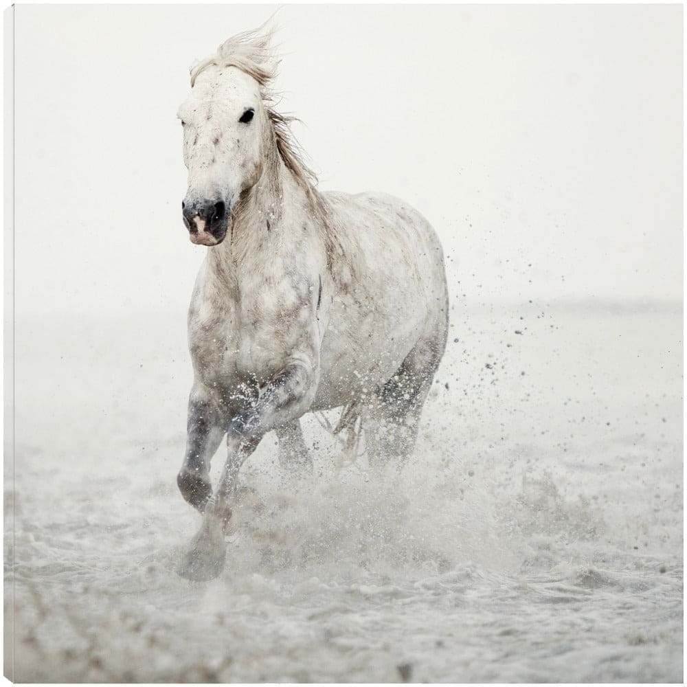 Cabalgata - Irene Suchocki