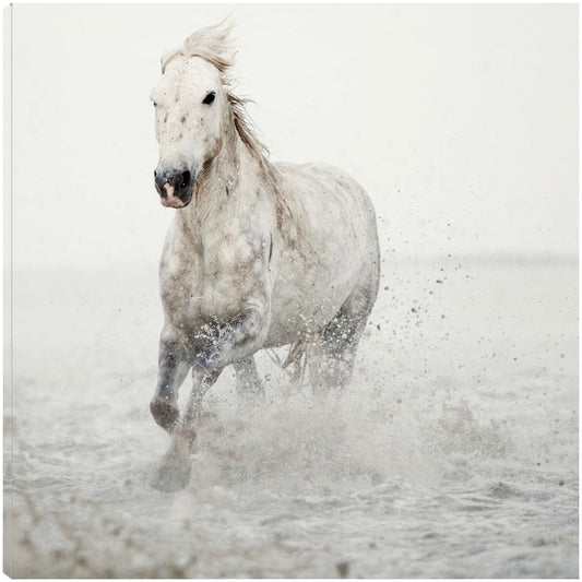 Cabalgata - Irene Suchocki