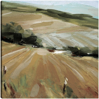 Pasto de verano - Carol Robinson