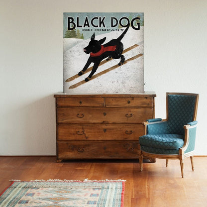 Perro Negro Esquiando - Ryan Fowler