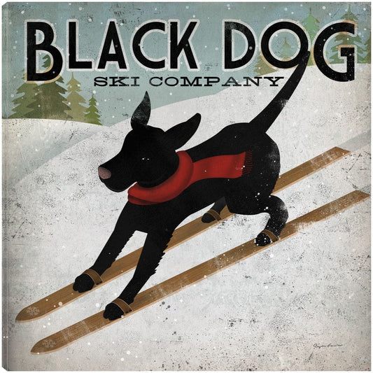 Perro Negro Esquiando - Ryan Fowler