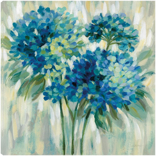 Estallido de hortensias - Silvia Vassileva