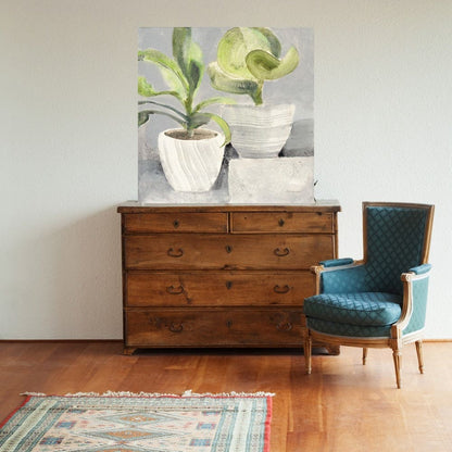 Vegetacion - Albena Hristova