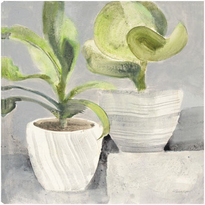 Vegetacion - Albena Hristova
