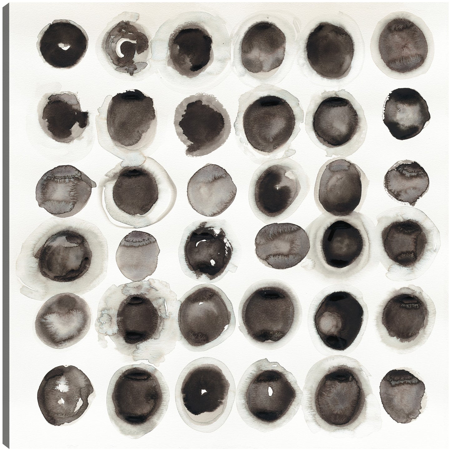 Rotonda - Shirley Novak