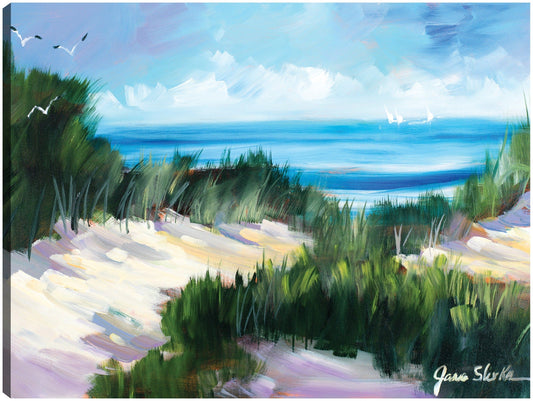 Costa de dunas - Jane Slivka