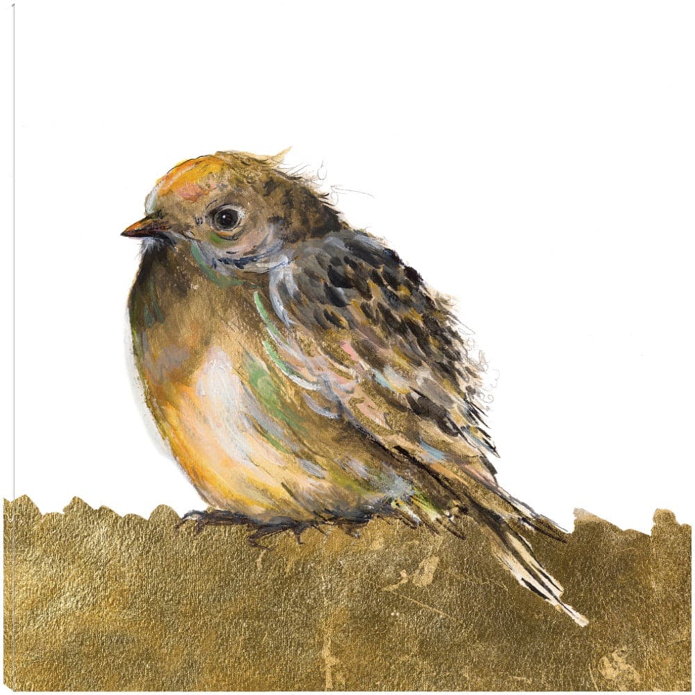 Pájaro de oro - Patricia Pinto