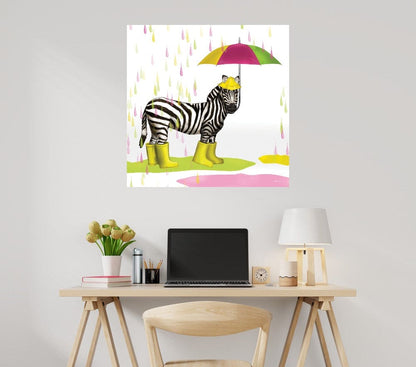 Gotas de lluvia safari cebra - Hugo Edwins