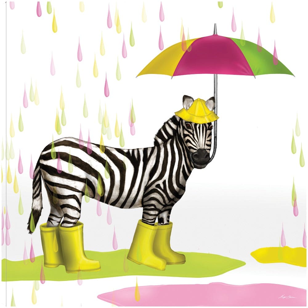Gotas de lluvia safari cebra - Hugo Edwins