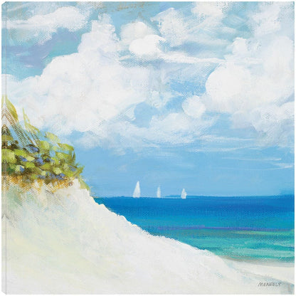 Playa I - Dan Meneely
