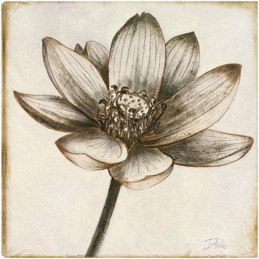 Loto en Sepia II - Patricia Pinto