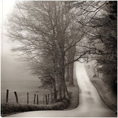 Camino al bosque - Nicholas Bell
