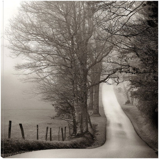 Camino al bosque - Nicholas Bell