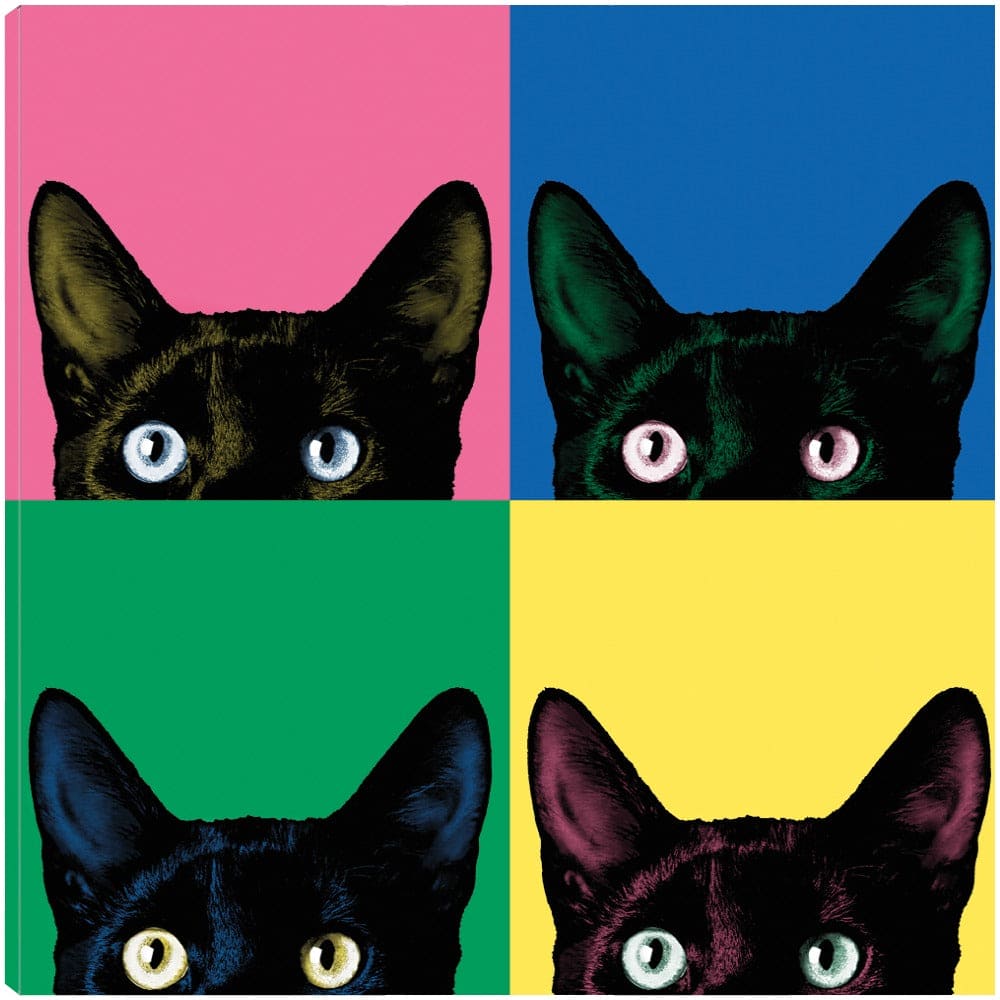 Curiosidad Pop - Jon Bertelli