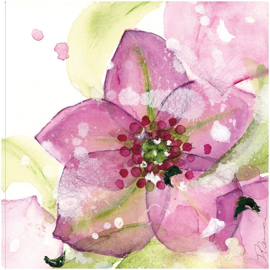 Flor rosa en la nieve - Dawn Derman