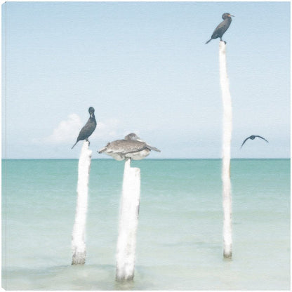 Centinelas - Noah Bay