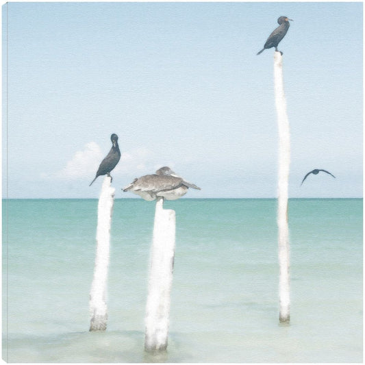 Centinelas - Noah Bay