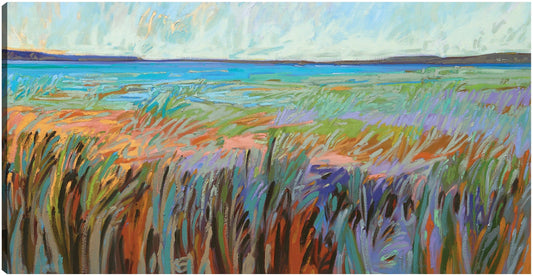 Costa de verano - Jane Schmidt