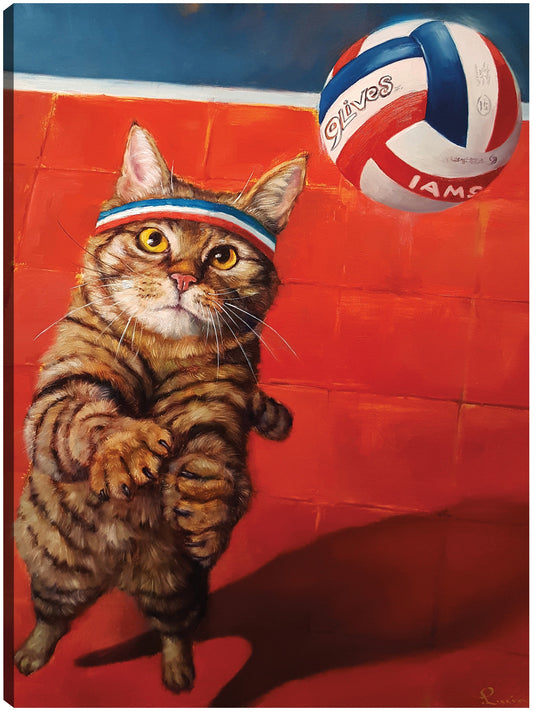 El Setter - Lucia Heffernan