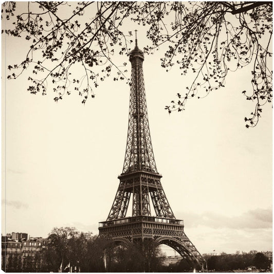 Torre Eiffel - Alan Blaustein