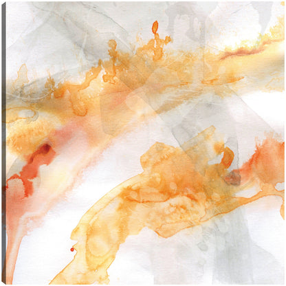 Opuestos transparentes I - Carol Robinson