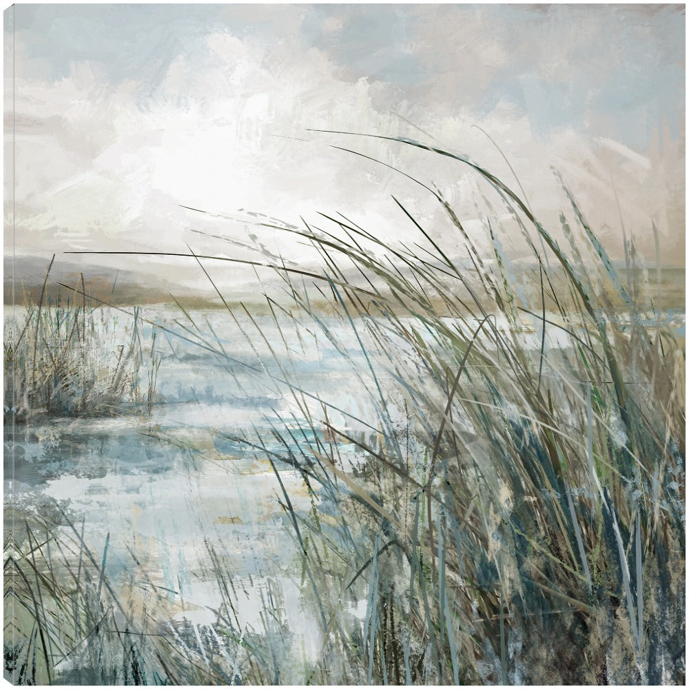 Más allá de las dunas - Studio Arts