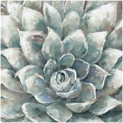 Cactus Floreciendo - Sandy Doonan