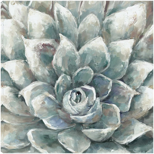 Cactus Floreciendo - Sandy Doonan