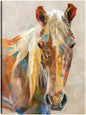 Retrato equino - Studio Arts