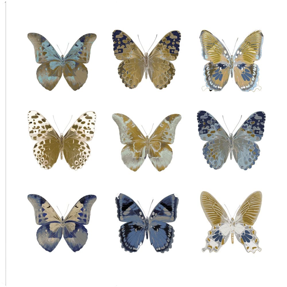 Estudio de mariposa I - Julia Bosco