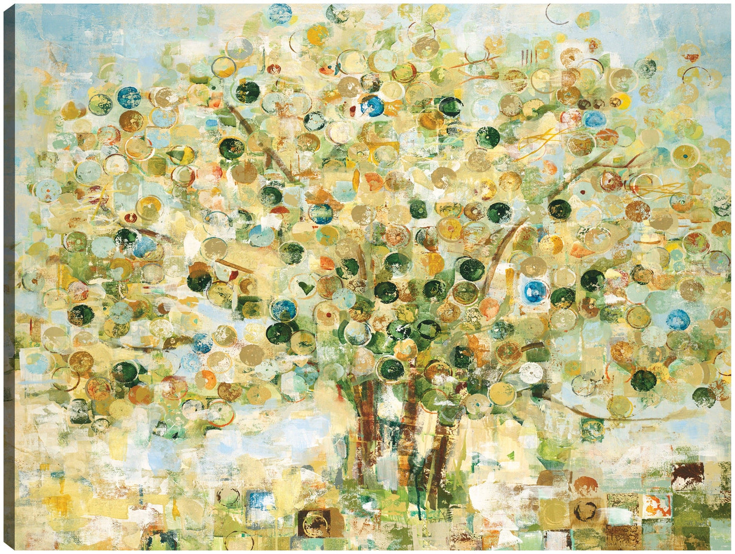 Abarcar - Jill Martin