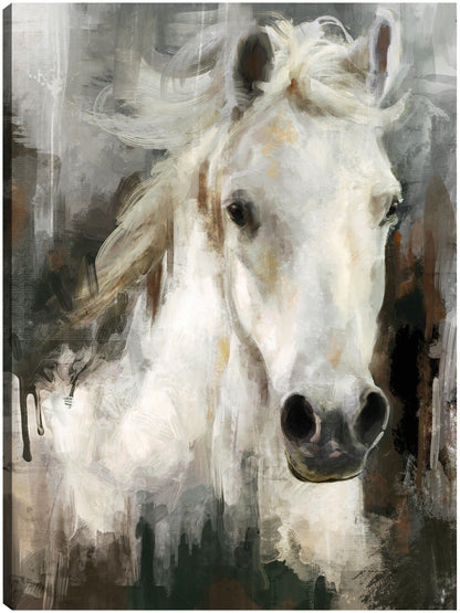 Casper - Studio Arts