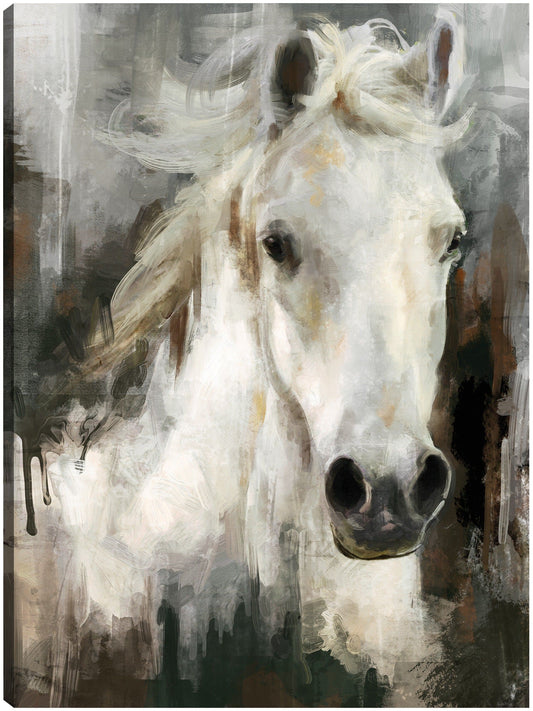 Casper - Studio Arts