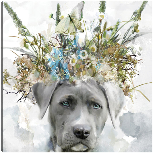 Sabuesos de Tierra II - Studio Arts