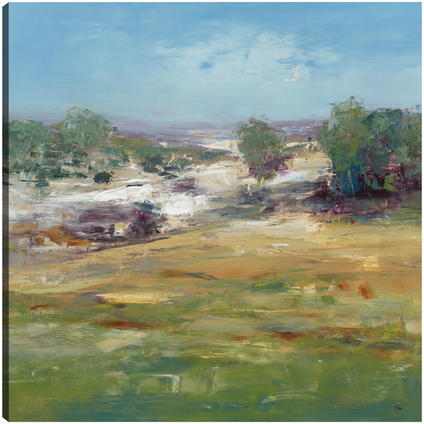 Vistas de verano - Lisa Ridgers