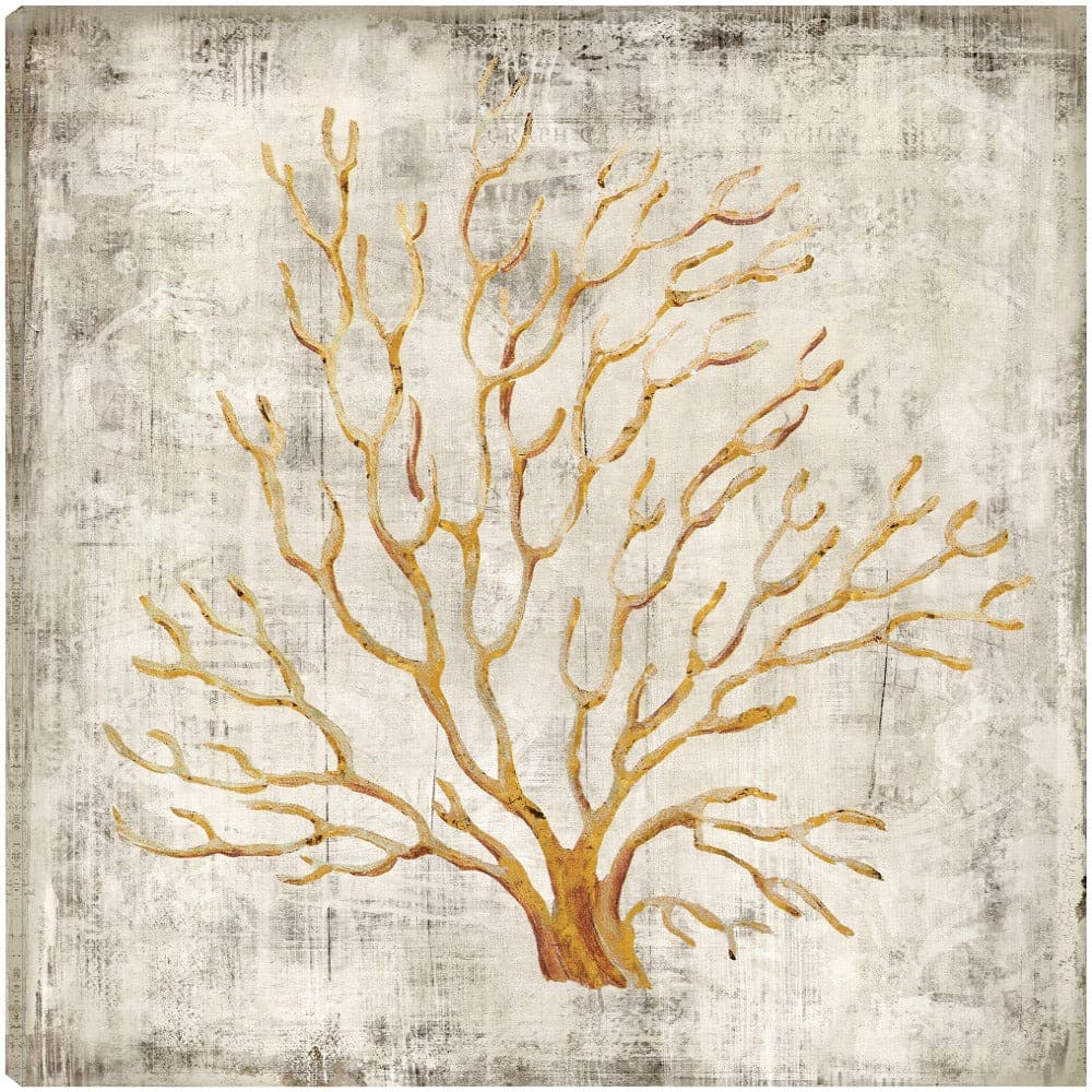 Coral de Cobre II - Heather Hayes