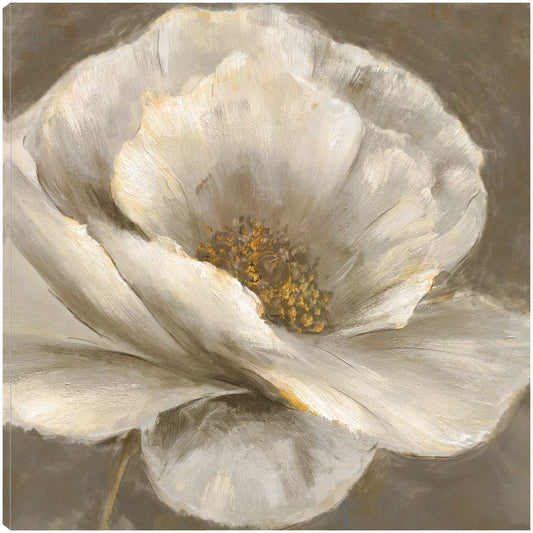 Niño de Oro II - Heather Hayes