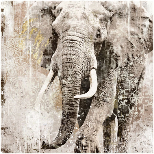 Elefante de retrato de marfil - Heather Hayes