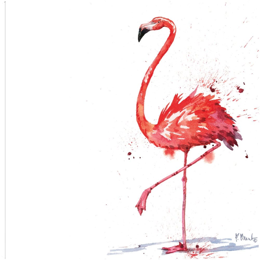 Flamingo de Arianna II - Paul Brent