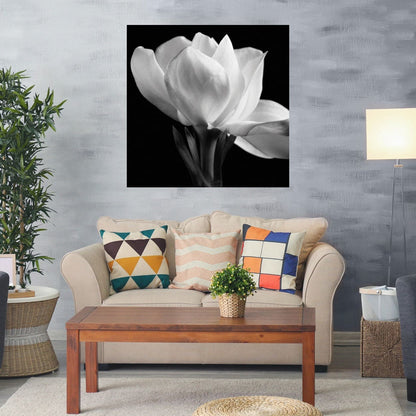 Gardenia - Michael Harrison