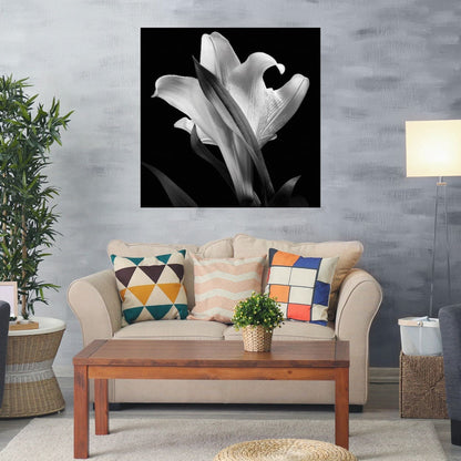 Lirio Floral 73 - Michael Harrison