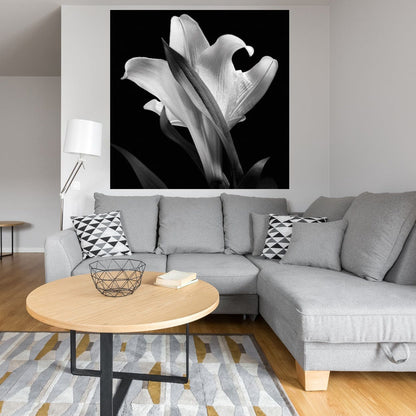 Lirio Floral 73 - Michael Harrison